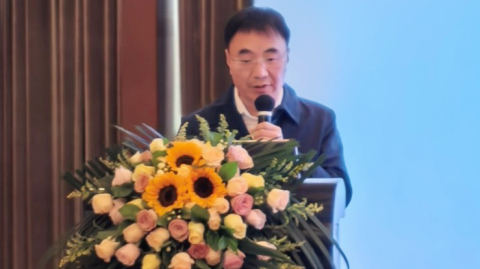 2025国际锡业论坛