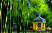 Nanjing