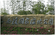 Hangzhou Zhejiang