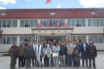 World Cobalt & Lithium Forum 2013
