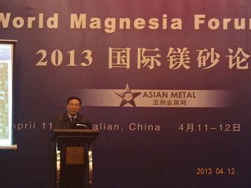 2013国际镁砂论坛