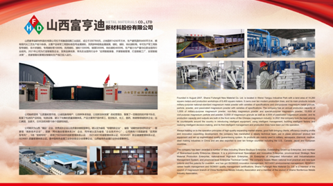 第十三届国际镁业峰会