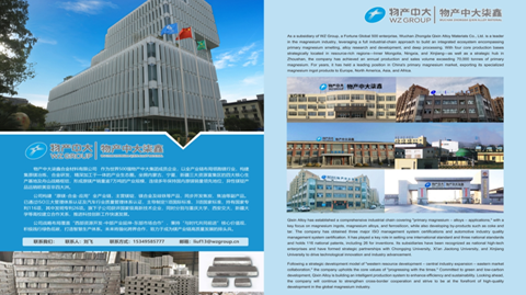 第十三届国际镁业峰会