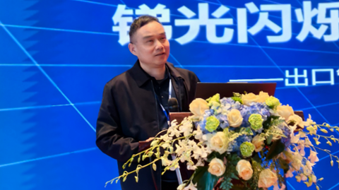 第十一届国际锑业论坛 