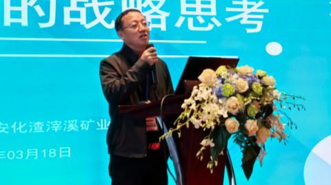 第十一届国际锑业论坛 