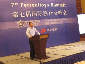 2013国际战略金属峰会