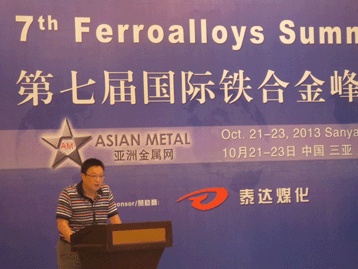 2013国际战略金属峰会