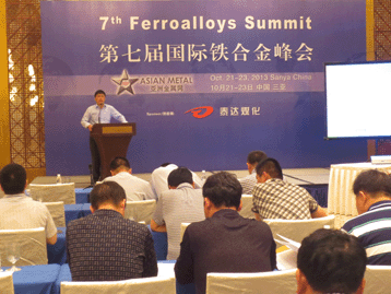 2013国际战略金属峰会