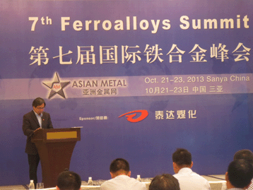 2013国际战略金属峰会