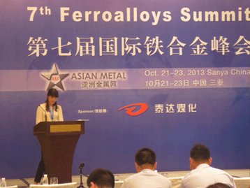 2013国际战略金属峰会