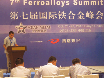 2013国际战略金属峰会