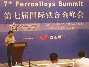 2013国际战略金属峰会