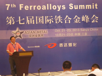 2013国际战略金属峰会