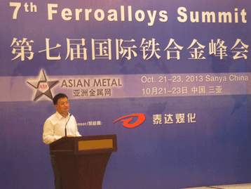 2013国际战略金属峰会