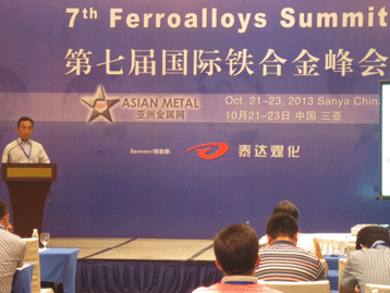 2013国际战略金属峰会