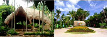 Travel Guide