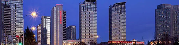 2013国际镁砂论坛